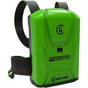 Аккумулятор ранцевый GreenWorks GL-900 X 2914807 фотография