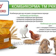 Комбикорм для бройлеров СТАРТ 1-3недели ТМ РЕКОРД фото