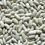 Фасоль бели 9мм+ White kidney beans фотография