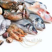 Предлагаем рыба и море продукты фото