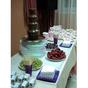 Шоколадный фонтан на свадьбу в Омске фото