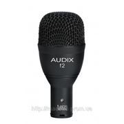 Микрофон инструментальный AUDIX F2 фотография