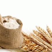Мука пшеничная хлебопекарная высшего сорта фотография