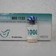 Вакцина Нобилис REO 1133 10 х 1000 D фотография