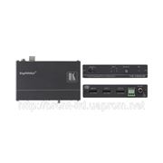 Kramer VS-12DP-IR Усилитель-распределитель 1:2 сигнала DisplayPort с управлением по ИК фото