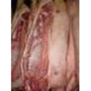 Мясо. Охлажденная свинина 1, 2, 3 категории в полутушах. Украинский производитель фото