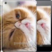 Чехол на iPad mini Смешной персидский кот 3069c-27 фотография