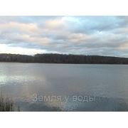 Участок на Мошковском заливе 1-ая линия от воды. фото