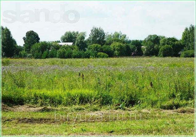Купить Участок В Богородске Нижегородской