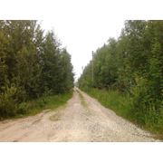 Участок недалеко от Рощино фото