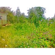 Рублево-Успенское ш, 28км, у д.Чигасово, СТ “Горицвет“. фото