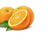 Апельсины купить, продажа апельсин, апельсины в Украине, апельсины цена оптом, фото фотография