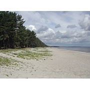 Земельный участок на берегу Рижского залива Балтийского моря фото