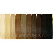 Натуральные славянские волосы для ленточного наращивания Hair Talk 60 см фото