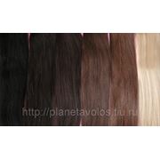Натуральные европейские волосы для ленточного наращивания Hair Talk 50 см