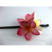 Китайская палочка с цветками франжипани для волос фотография