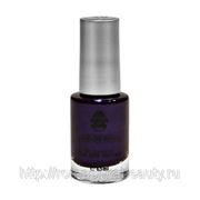 Лак для Stamping Nail Art Фиолетовая (10) 6,5мл