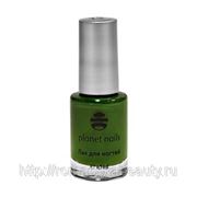 Лак для Stamping Nail Art Зелёная (12) 6,5мл