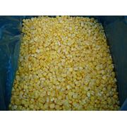 Кукуруза посевная зерно на экспорт оптом фото
