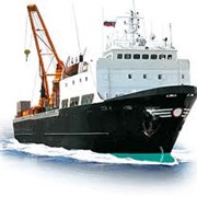 Морские перевозки грузов фото