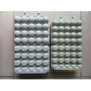 Упаковка для перепелиных яиц из бумажного литья фотография