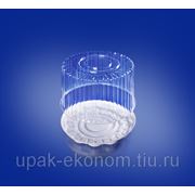 Контейнер пластиковый ИП-220 фото