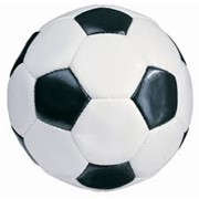 Мячи футбольные фото