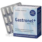 GASTRONEL + 60 капс фото