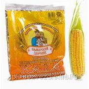 Пшенично-кукурузная (№65) фото