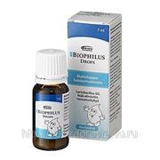 Biophilus DRIP DROPS 7 мл. фото