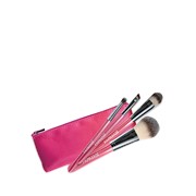 Набор кисточек для макияжа Pink Quartet Brush Set - Pink