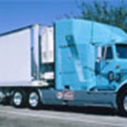 Транспортировка грузов в международном сообщении, экспедиторская деятельность