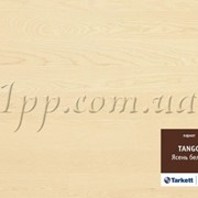 Паркетная доска Tarkett Tango Ясень белый лак мат 1-пол