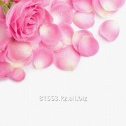 Фотопечать на стекле D3341 фото