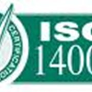 Разработка, внедрение и подготовка к сертификации систем менеджмента организаций в соответствии с международными стандартами ISO 14001 фото