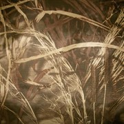 Зимняя кожаная обувь для девочек Ренбут 32110 фото