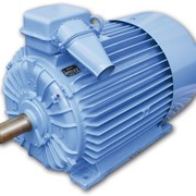 Асинхронный электродвигатель АО4-355s-10y2 фотография