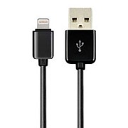 Кабель USB*2.0 Am - Lightning 5Bites UC5005-010BK чёрный - 1 метр фото