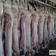Мясо свиней, производство