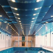 Влагостойкие потолки в интерьерах бассейнов
