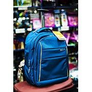 Рюкзак на колесахAsialeopard 36х27х50см синий