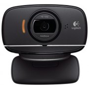 Камера интернет Logitech B525 USB (960-000842) фото