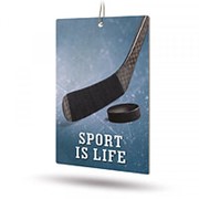 Ароматизатор AVS APS-032 Sport is Life (аром. Hot Pepper/Перец) фотография