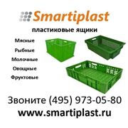 Пластиковые ящики для овощей фото