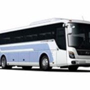 Аренда автобуса HYUNDAI (2008) 43 места
