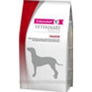 Ветеринарный сухой корм для собак Eukanuba Veterinary Diets Intestinal, 12 кг фото