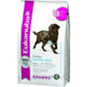 Лечебный сухой корм для собак Eukanuba Adult Daily Care Sensitive Joints, 2,5 кг фотография