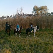 Конные прогулки в Молдове фото