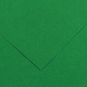 Бумага цветная Canson Iris Vivaldi, 240 гр/м2, 50 x 65 см Зеленый мох фото