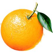 Апельсиновый рай фото